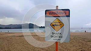 Beach sign warning of sharks