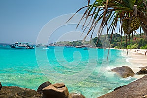 Beach of Similan Koh Miang Island in national park, Thai photo