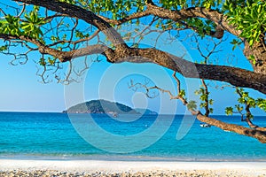 Beach of Similan Koh Miang Island in national park, Thai photo