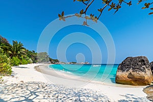 Beach of Similan Koh Miang Island in national park, Thailand photo