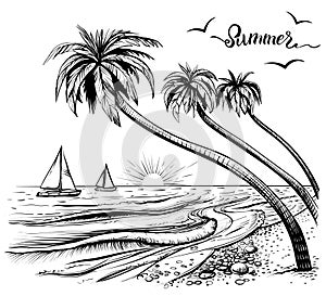 Beach sketch with palms and yachts regatta, vector illustration.