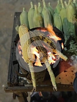 Beach snacks, Corn on the cob, fried