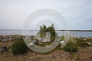 Beach on Solovetsky island, Russia