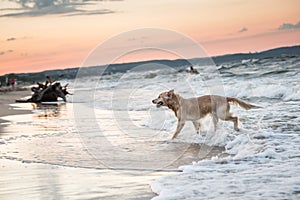 Beach in Sopot photo