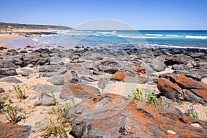 beach in south Australia near Victor Harbor