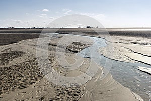 On the Beach of St. Peter-Ording