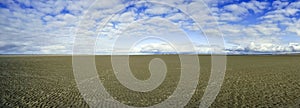 On the Beach of St. Peter-Ording