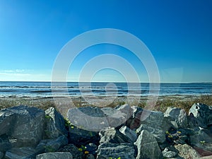 The beach at St. Simons Island, Georgia