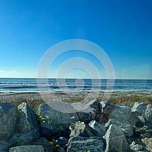 The beach at St. Simons Island, Georgia