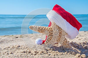 Beach starfish with Christmas hat