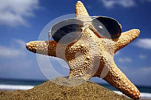 Beach Starfish with Shades