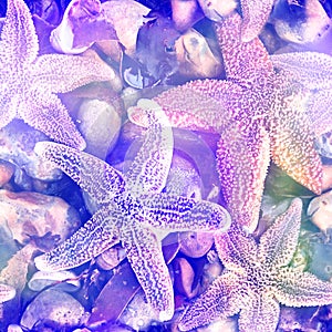 Beach Starfish and Shell Print