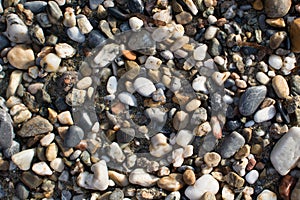 The beach stone ground.