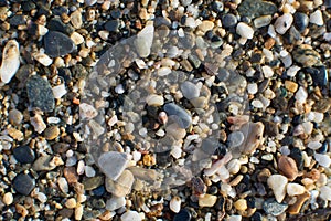 The beach stone ground.