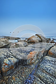 Beach, stone and rocks in landscape of nature or environment with birds in blue sky at sea. Offshore, ocean and travel