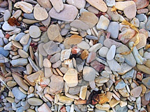 Beach Stones