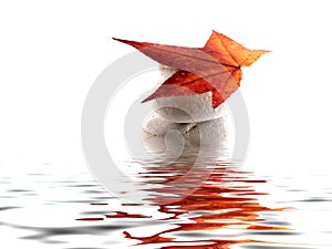 Beach stones with leaf