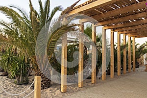 A beach strip with umbrellas and sunbeds on the coast of Sunny Beach