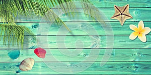 Beach and summer background with blue planks, palm tree branch and seashells