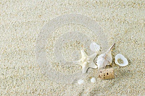 Beach and Summer background - starfish and seashells on white sa
