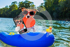 Beach summer dog selfie