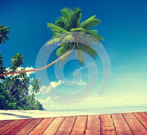 Beach Summer Relaxation Tranquil Scene Concept