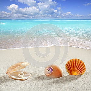 Beach summer vacation background shell pearl