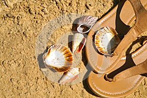 Beach, summer women`s footwear and shells gathered on the shore. Holiday memories