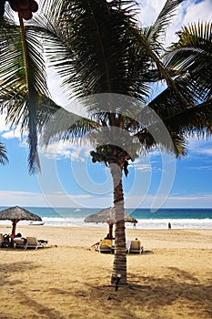 beach with sun loungers and umbrellas on the pacific ocean mancora peru