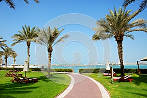 The beach with sunbeds on the green lawn and palm trees shadows in luxury hotel