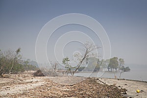 Beach in Sundarbans national park in Bangladesh