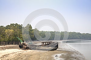 Beach in Sundarbans national park in Bangladesh