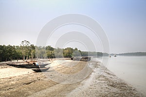 Beach in Sundarbans national park in Bangladesh