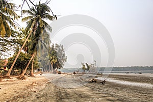 Beach in Sundarbans national park in Bangladesh