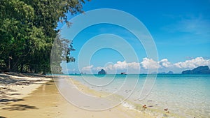 Beach on a sunny day. Kradan Island, an island in the Andaman Sea, Thailand. Tropical Island white sand beach, pine tree,