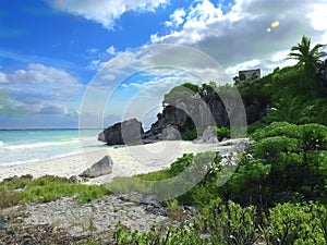 Spiaggia soleggiato alberi rocce 