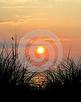 Beach sunrise