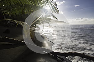 Beach at sunrise, Corcovado National Park, Costa Rica