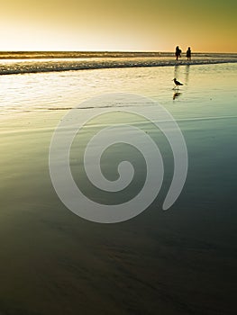 Beach at sunset