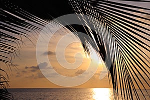 Beach sunset background