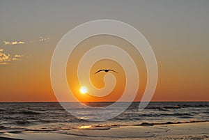 Beach sunset Florida Pan Handle