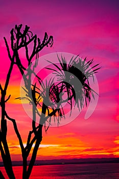 Beach Sunset in  Indonesia