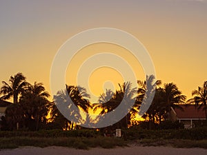 Beach sunset on Palm Beach Island