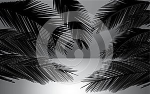 Beach sunset with palms vector illustration