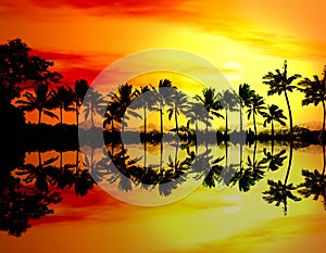 Beach sunset or sunrise with tropical palm trees photo