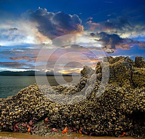 Beach Sunset Tide pool Cloudy Sky