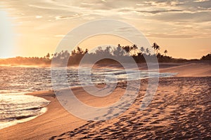 Beach sunset travel vacation lifestyle landscape with palm trees wide sand coastline waves with scenic orange sunset sky in Sri La