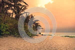 Beach sunset travel vacation lifestyle landscape with palm trees wide sand coastline waves with scenic orange sunset sky in Sri La