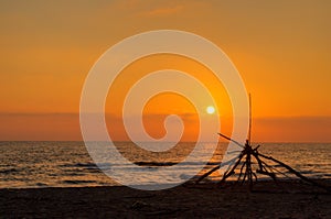 Beach Sunset with Trees Braches