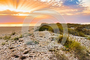 The beach at sunset. Warm golden light. Beautiful sunset blue summer sky. Sunrise over the sea and beautiful cloudscape. Sunset on